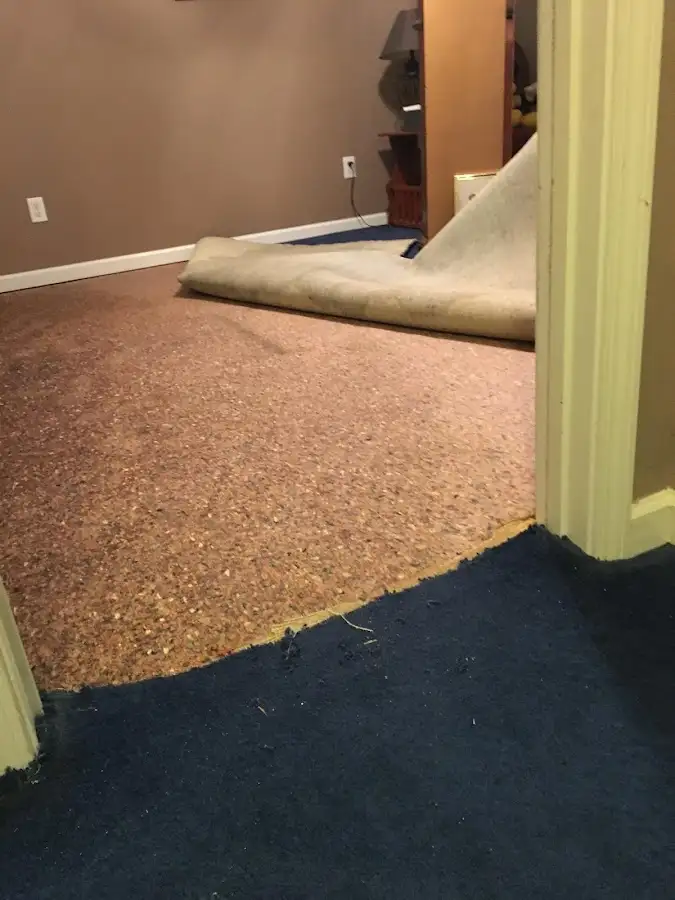 Carpet pad removal revealing water damage during Drying & Dehumidification in Ross