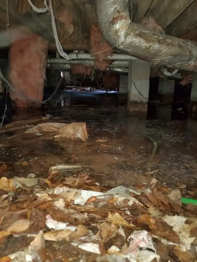 Crawl space flood assessment for Commercial Water Damage Restoration in Ross