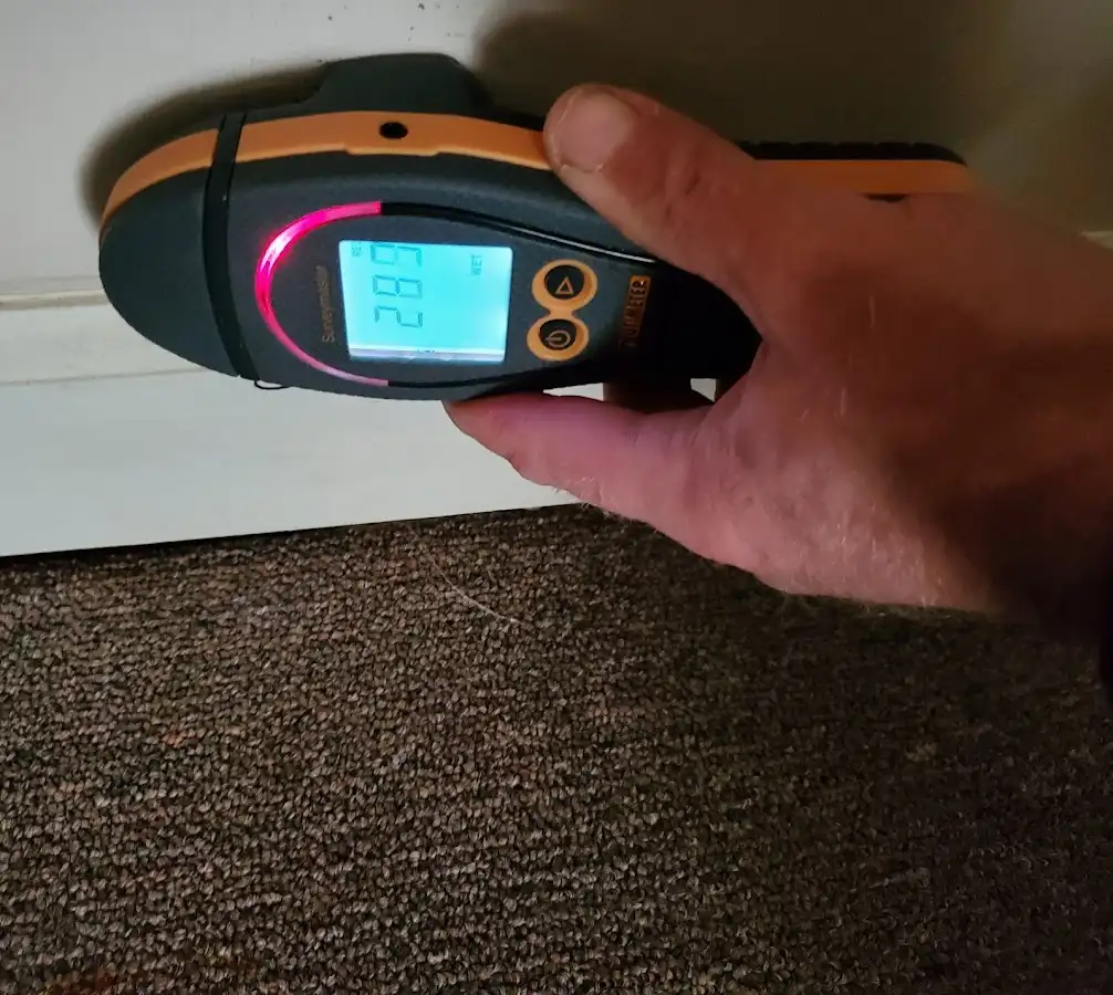 Moisture detection at baseboard during Sewage Cleanup & Sanitation in Ross